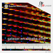 YXCP - 036 Hologramm geprägte Nickelplatte für Sicherheitsaufkleber